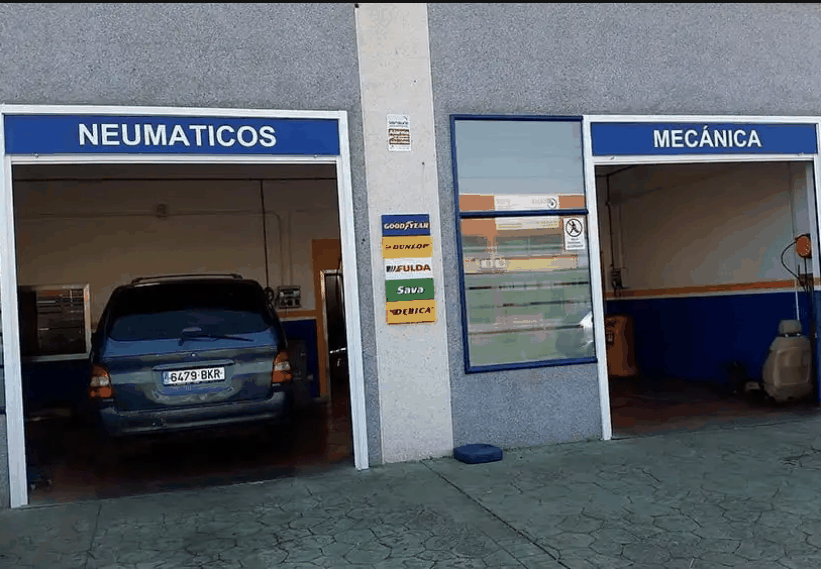 Neumáticos